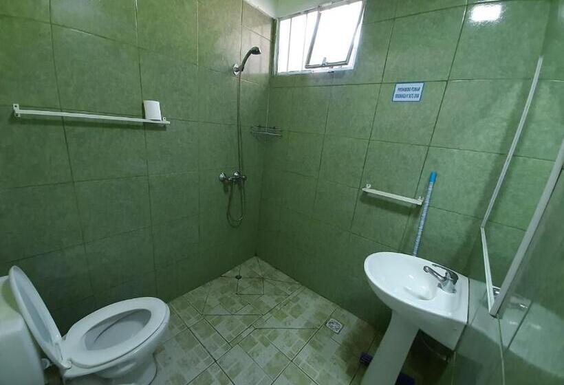 اتاق استاندارد چهار تخته, Hostel Richieri