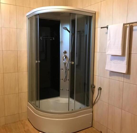 اتاق استاندارد, Pension Hanul Andritei