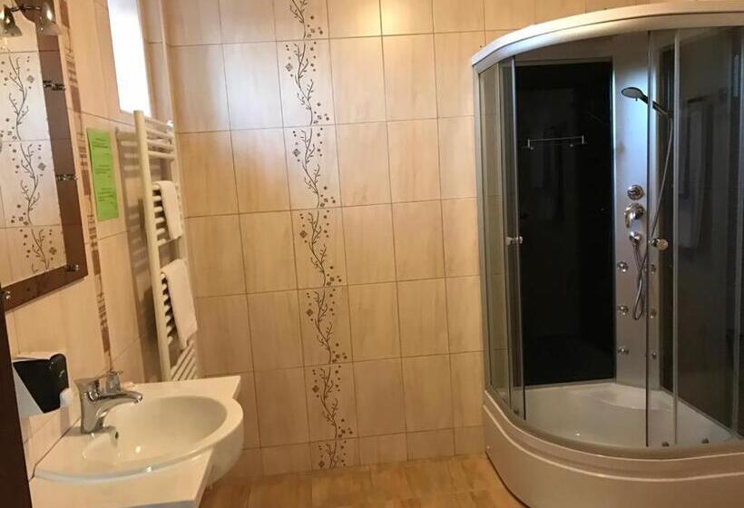 اتاق استاندارد, Pension Hanul Andritei