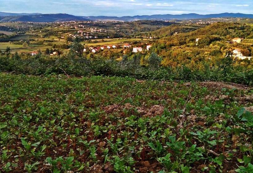 استودیو خانوادگی, Farm Stay Domačija Butul