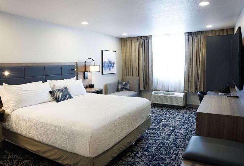 اتاق اجرایی با تخت بزرگ, Wyndham Dfw Airport