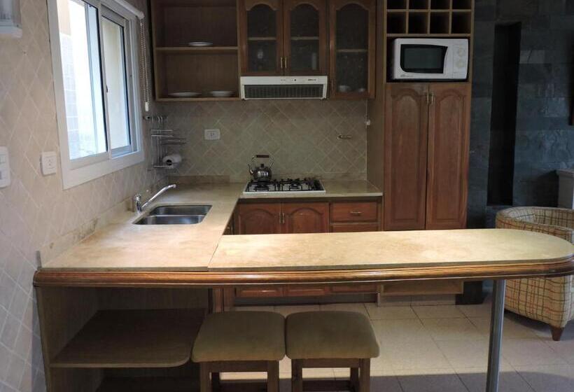 חדר סטנדרט, Los Aromos Apart Spa
