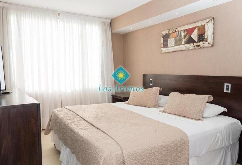 דירת חדר דלוקס, Los Aromos Apart Spa