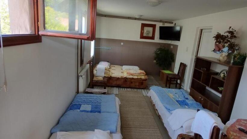 استودیو استاندارد با چشم‌انداز باغ, Guesthouse Tadic