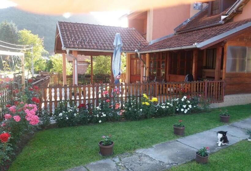 استودیو استاندارد با چشم‌انداز باغ, Guesthouse Tadic