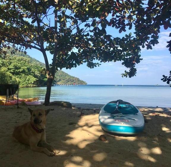 بنگله خانوادگی, Easy Tiger Garden Bungalows   By Beach House Cambodia