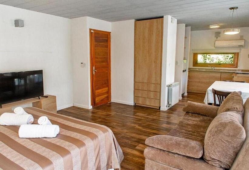 اتاق استاندارد, Terrazas Del Bosque Aparts