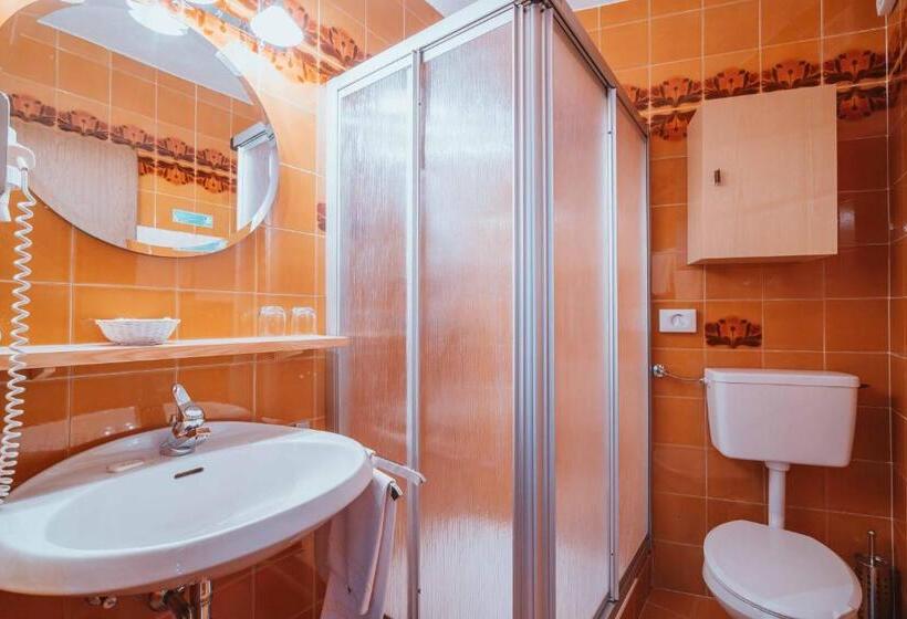 اتاق اکونومی, Wanderhotel Teiserhof