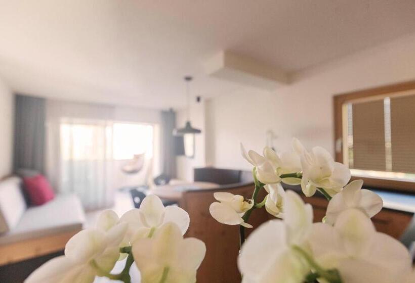 آپارتمان 1 خوابه, Wanderhotel Teiserhof