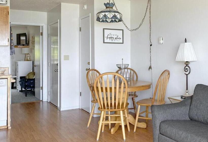 آپارتمان 1 خوابه با چشم‌انداز دریا, Ocean Terrace Condominiums