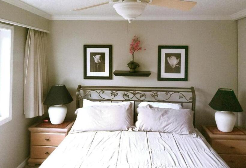 آپارتمان 1 خوابه با چشم‌انداز دریا, Ocean Terrace Condominiums