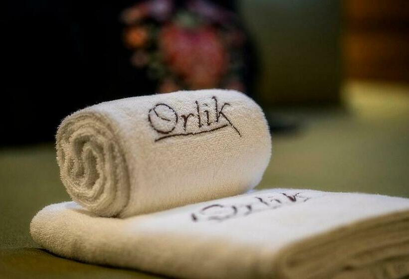 اتاق استاندارد, Pensjonat Orlik Mountain Resort&spa
