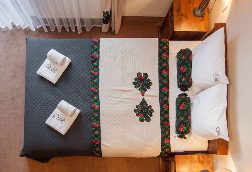 اتاق استاندارد, Pensjonat Orlik Mountain Resort&spa