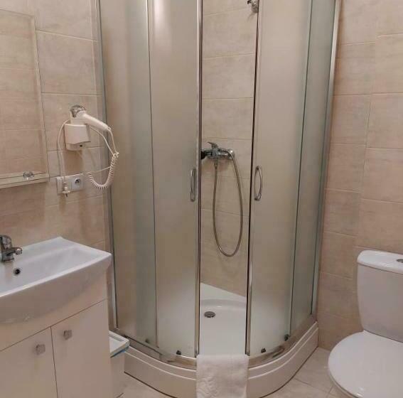 اتاق استاندارد یک نفره, Sandomiria