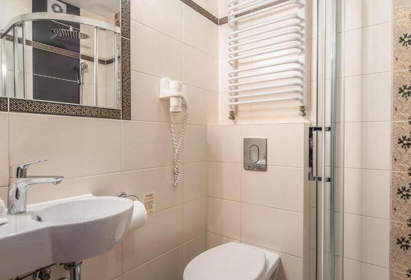 اتاق استاندارد یک نفره, Villa Magnat Spa, Jacuzzi, Sauna, Tężnia Solankowa
