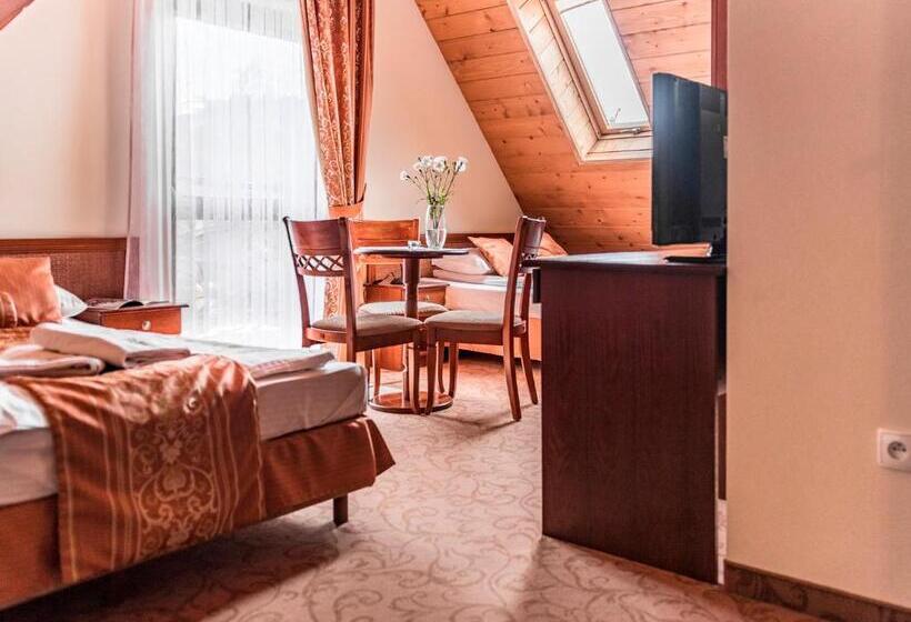 اتاق استاندارد چهار تخته, Villa Magnat Spa, Jacuzzi, Sauna, Tężnia Solankowa