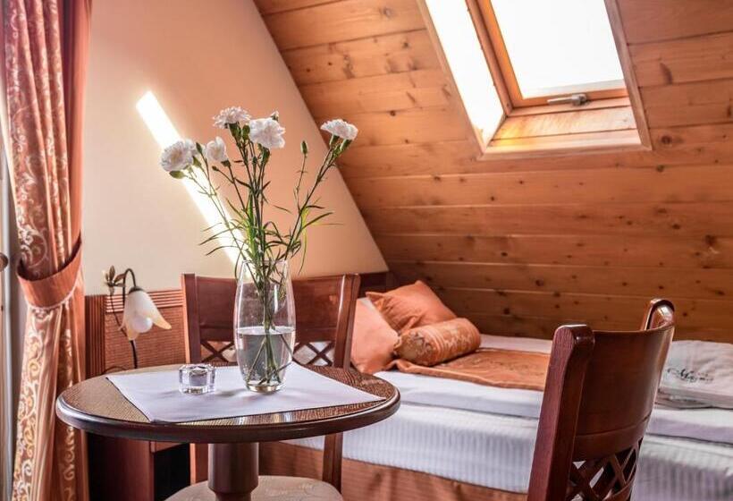 اتاق استاندارد چهار تخته, Villa Magnat Spa, Jacuzzi, Sauna, Tężnia Solankowa