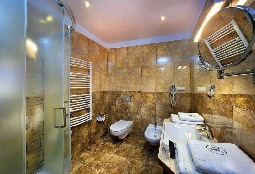اتاق استاندارد, Woiński Spa