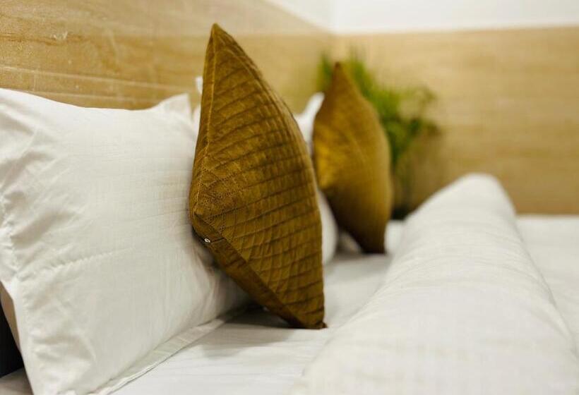 اتاق لوکس, Relax In   Noida Sector 18