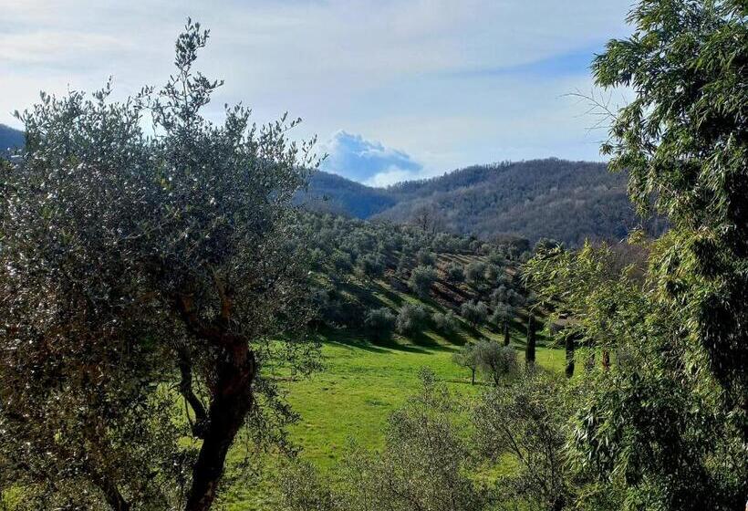 اتاق استاندارد, B&b La Risorgiva