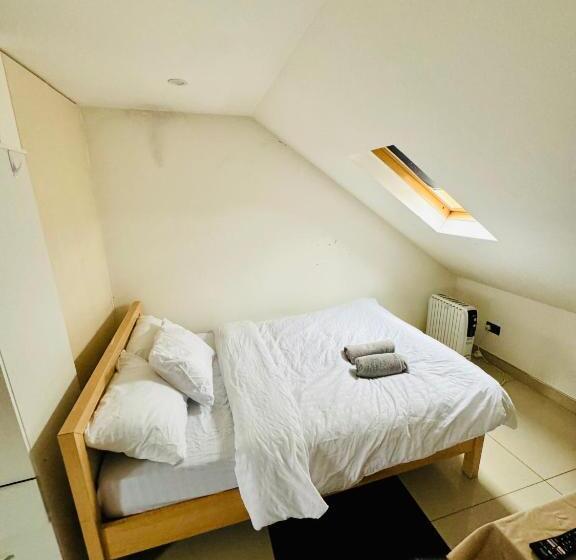 استودیوی لوکس, The Great Falcon Accommodation