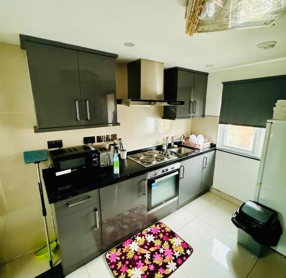 استودیوی لوکس, The Great Falcon Accommodation