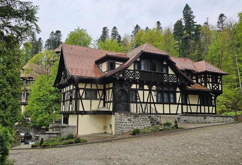اتاق لوکس با چشم‌انداز, Vila șipot   Casa Arhitecților