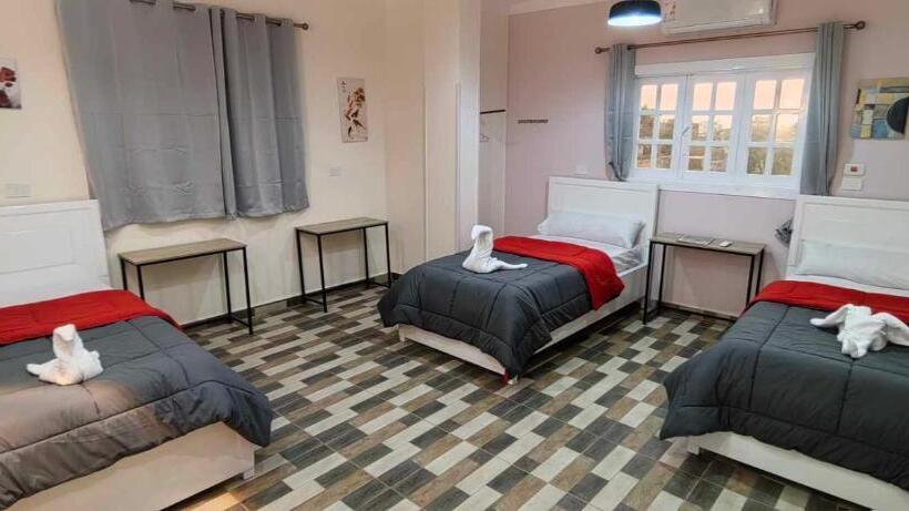 اتاق استاندارد چهارنفره با سرویس بهداشتی مشترک, Dream Garden Luxor