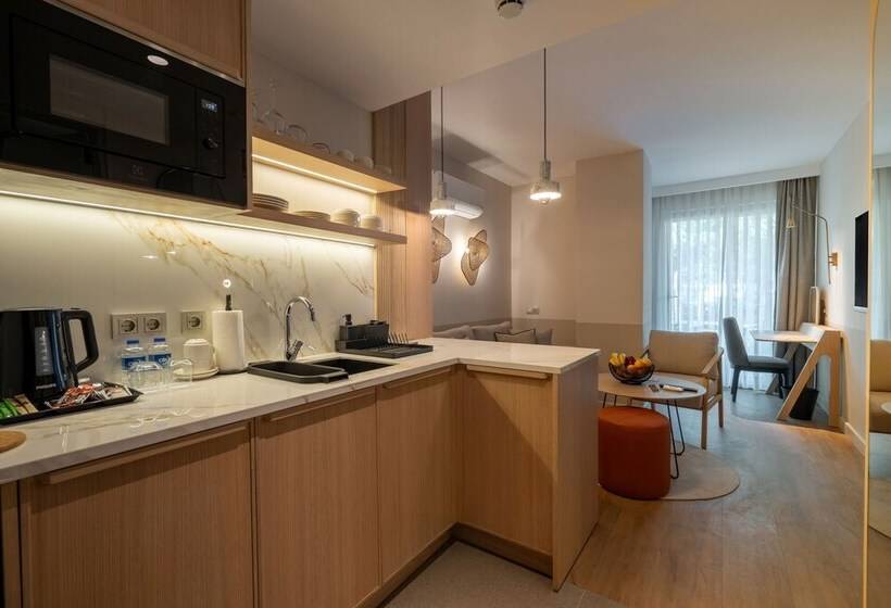 آپارتمان سوپریور 1 خوابه, Oli Hotel And Suites