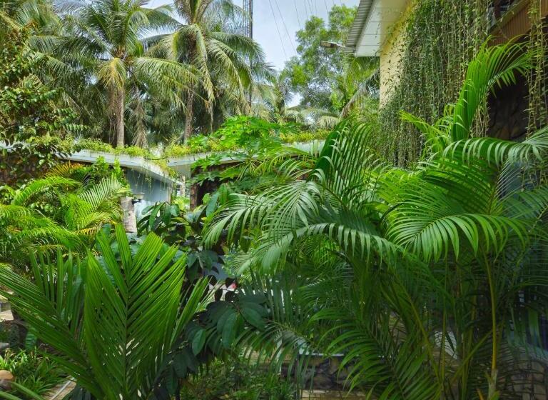 اتاق خانوادگی, Homestay Bến Tre