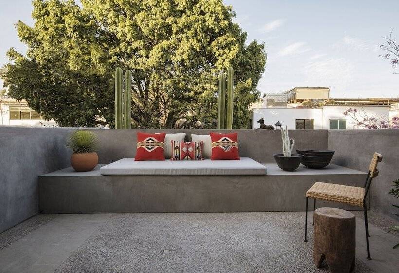 سوییت سوپریور, Macondo Arte Oaxaca