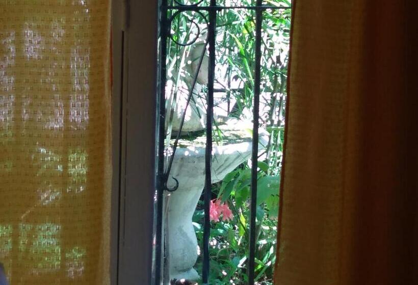 اتاق استاندارد چهارنفره با چشم‌انداز باغ, Hostal Green House