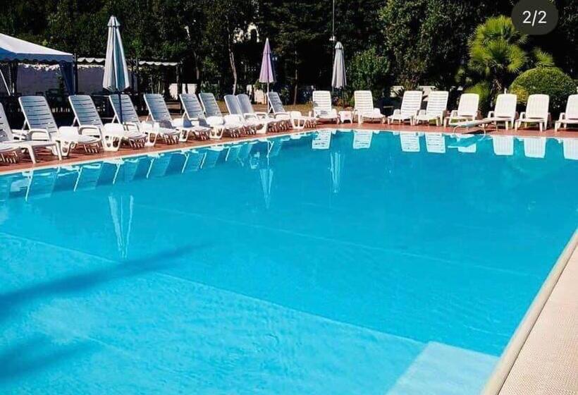 اتاق استاندارد سه نفره, In Bloom B&b