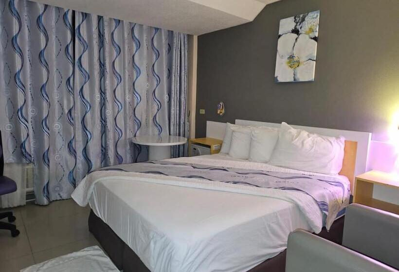 اتاق لوکس, Golden Tree Hotel Belize