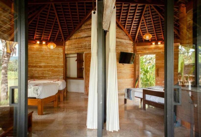 اتاق لوکس, Sunrise Paradise Bali