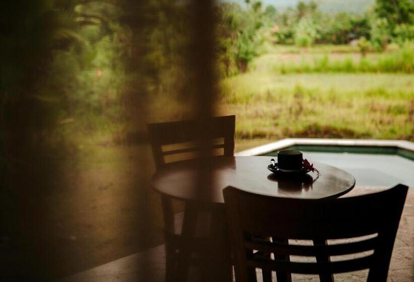 اتاق لوکس, Sunrise Paradise Bali