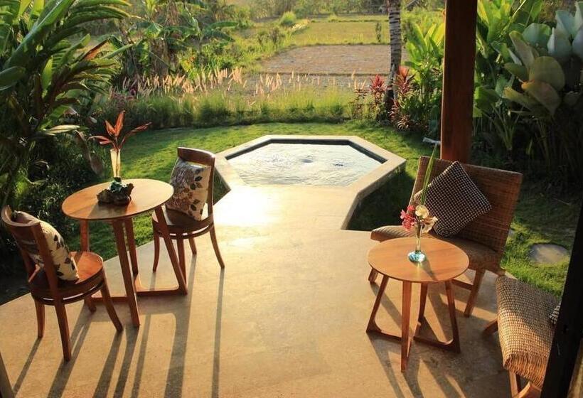 اتاق لوکس, Sunrise Paradise Bali