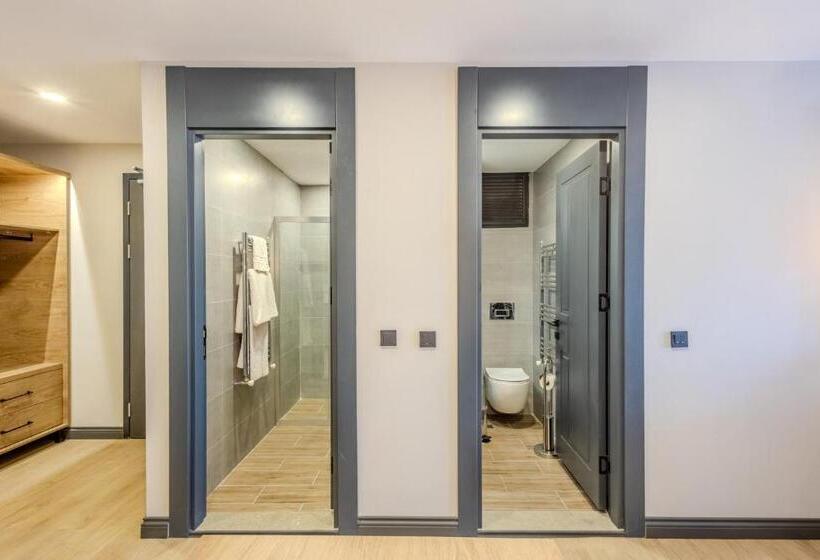 استودیوی استاندارد, Leli̇ko Suites