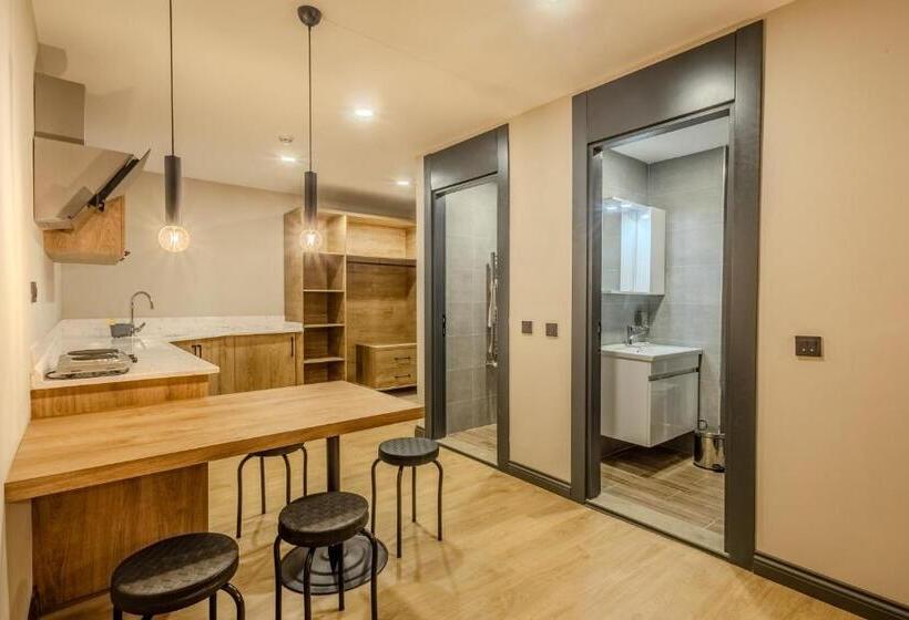 استودیوی استاندارد, Leli̇ko Suites
