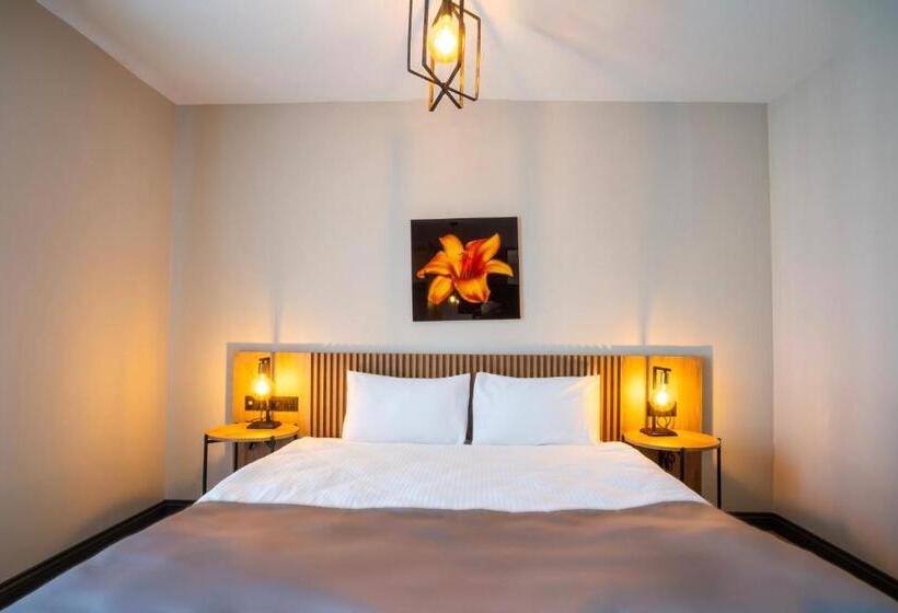 اتاق لوکس سه تخته, Leli̇ko Suites