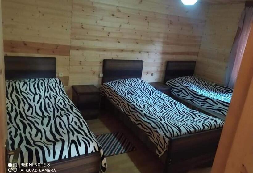 Economy Triple Room, Guesthouse Luka