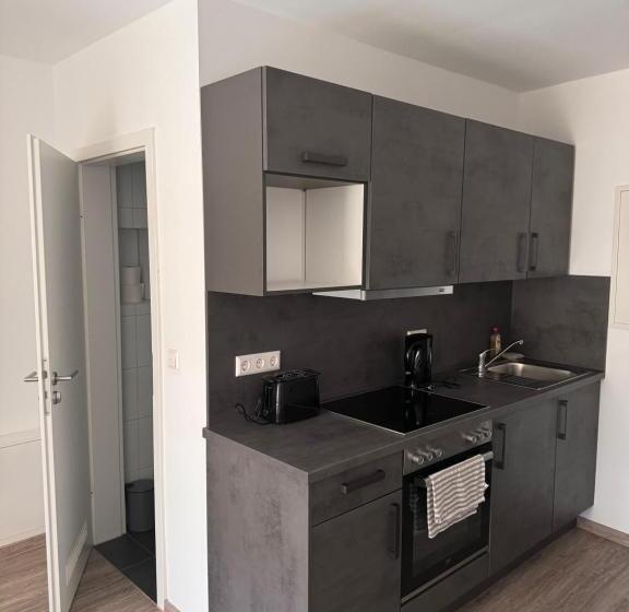 اتاق استاندارد یک نفره, Neckar Apart