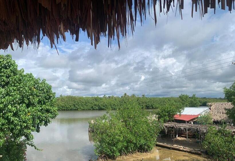 اتاق خانوادگی, Lunagua