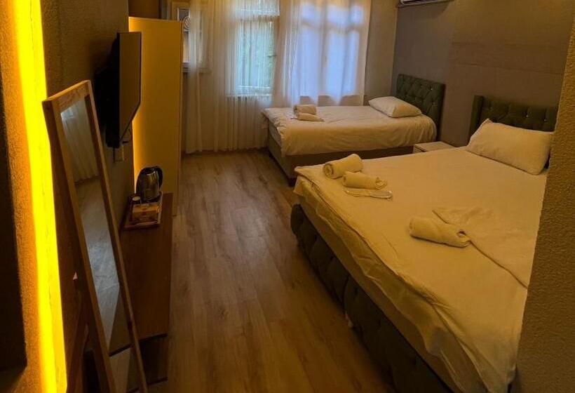 اتاق اجرایی سه نفره, Bosphorus Vip Otel