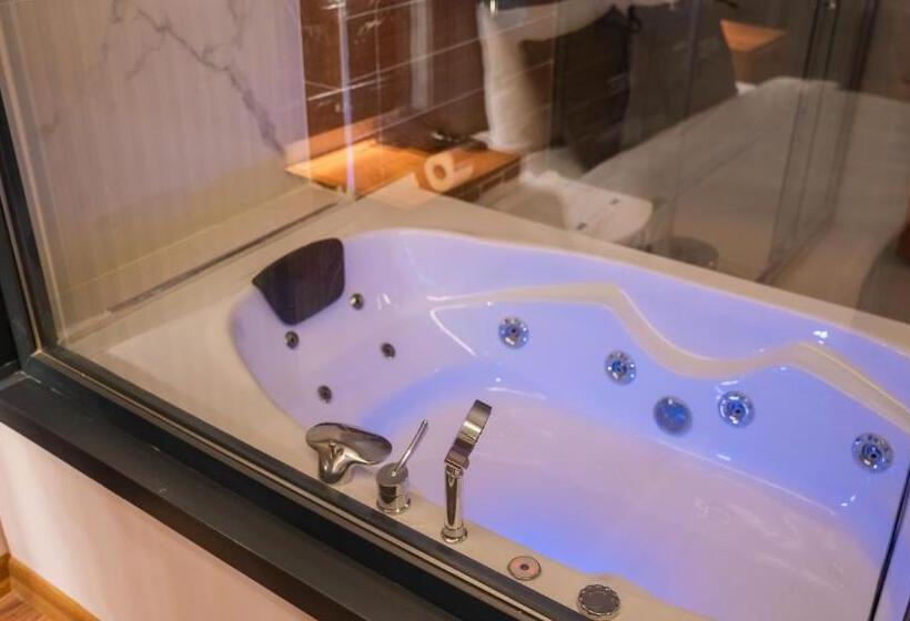 اتاق لوکس, Cip Hotel & Spa Istanbul Bakırkoy City Center