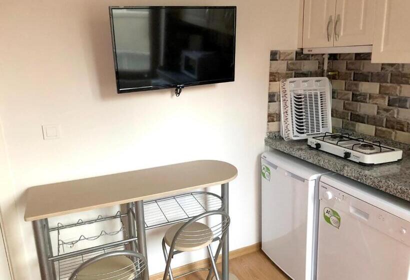 آپارتمان سوپریور 1 خوابه, Istanberry   Dream Apartments