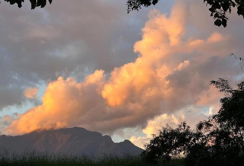 اتاق استاندارد با تخت بزرگ, Lhong Chiang Dao Glamping หลงเชียงดาว