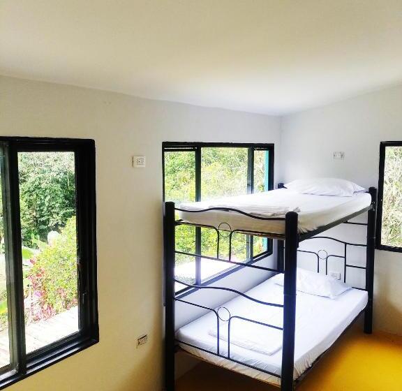 تختخواب در اتاق مشترک, Amalaya Hostel