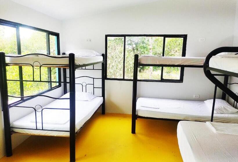 تختخواب در اتاق مشترک, Amalaya Hostel