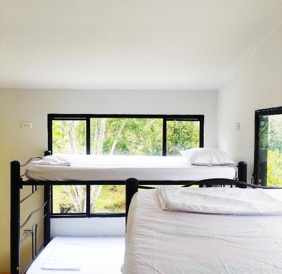 تختخواب در اتاق مشترک, Amalaya Hostel